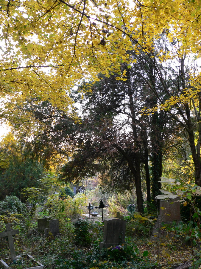 Pécs-Mecsekszabolcs